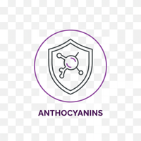 Anthocyanins